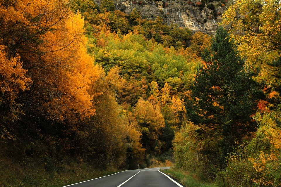 Осенние пейзажи - красивые фото золотой осени