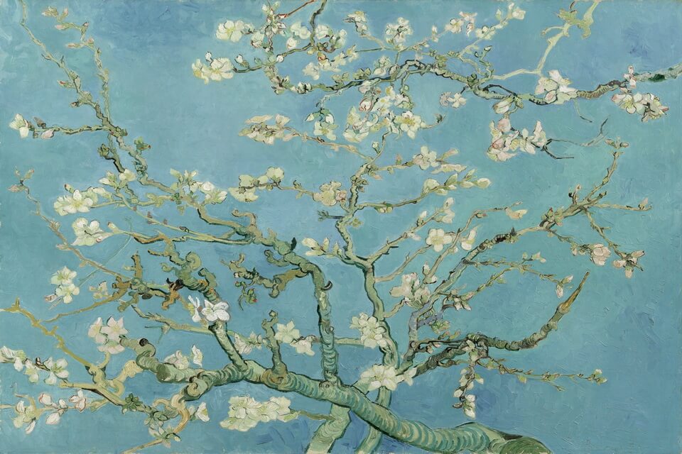 Картини весни відомих художників - Вінсент Ван Гог – «Квітучі гілки мигдалю» (1890)