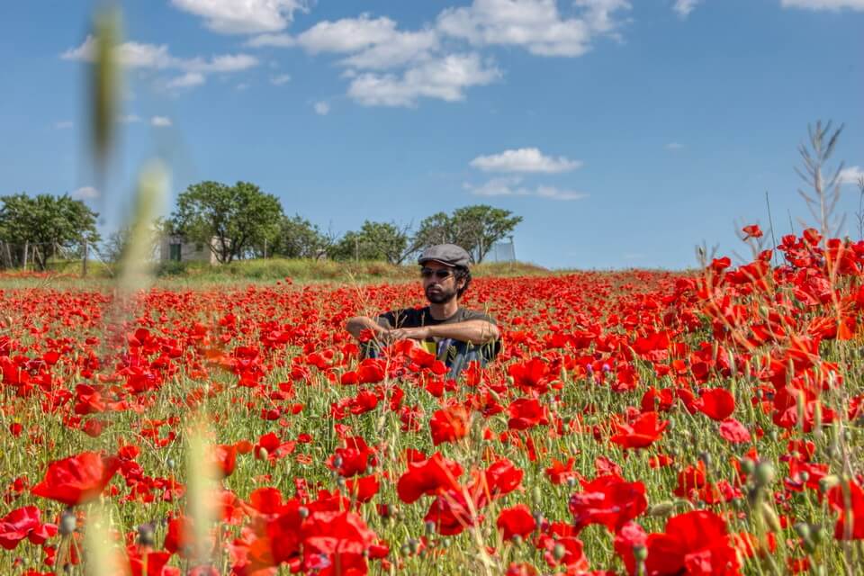 Фотосесія у маках - фото та ідеї для чоловіків