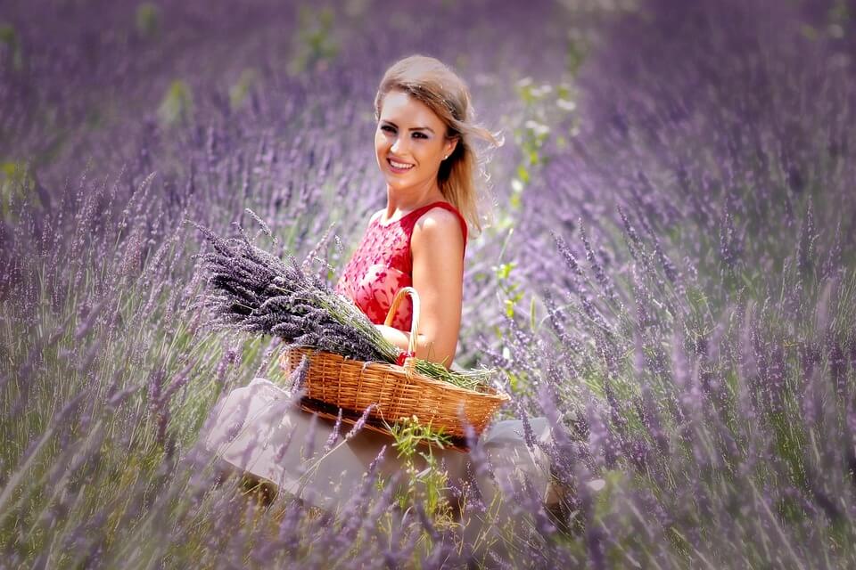 Екскурсії з фотосесією у лаванді