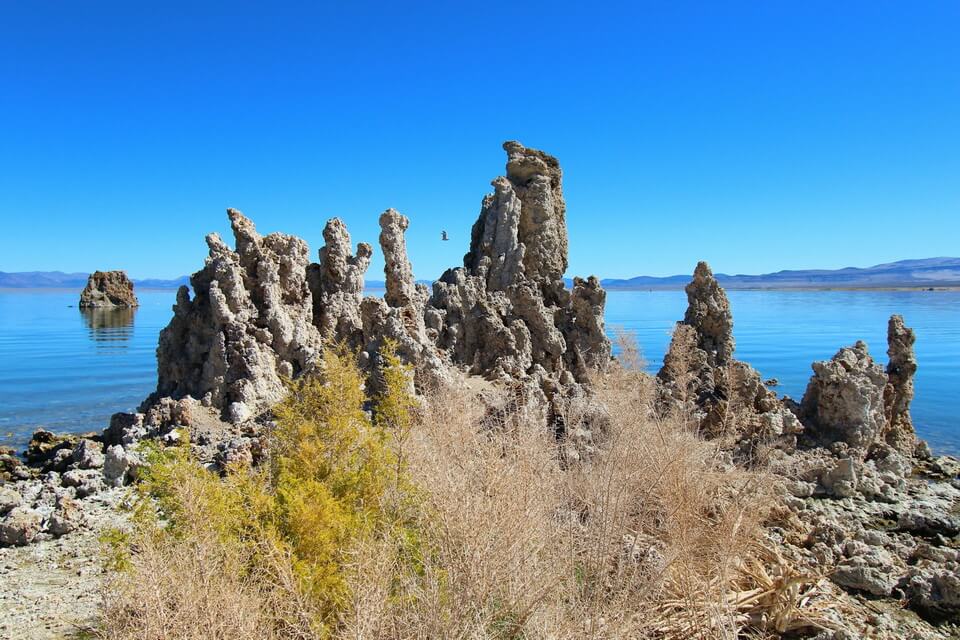 Краєвиди озера Моно у Каліфорнії (США)